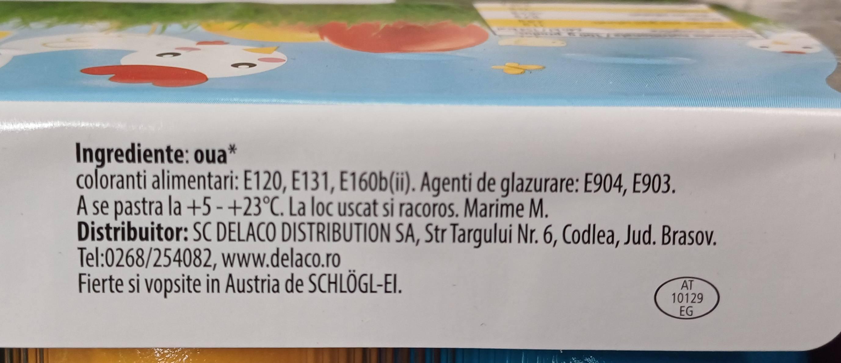 486711324_973969881592295_1154706360180082045_n.jpg