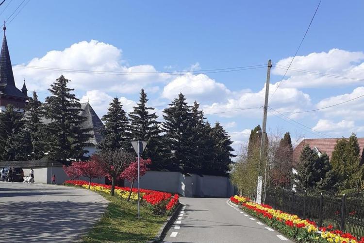 Încă o comună clujeană primește statut de stațiune turistică de interes local. Vezi lista localităților din Cluj declarate stațiuni