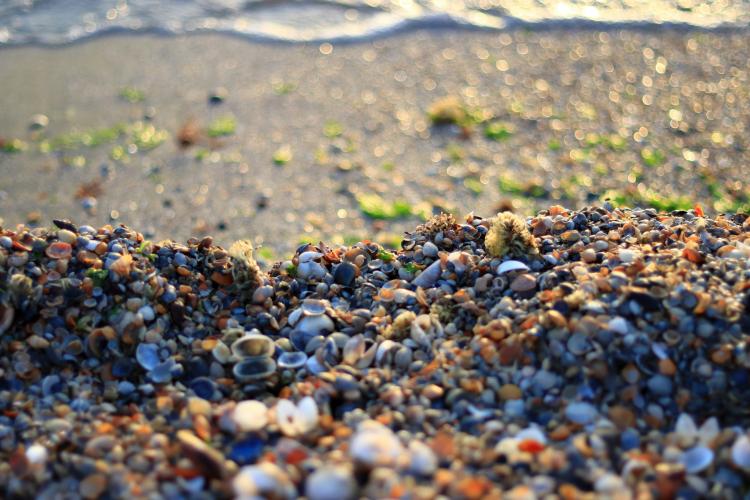 Cât costă o noapte de cazare într-un hotel de 3 stele vs. un apartament, pe litoral, de 1 Mai. Zeci de mii de turişti vor da startul sezonului estival