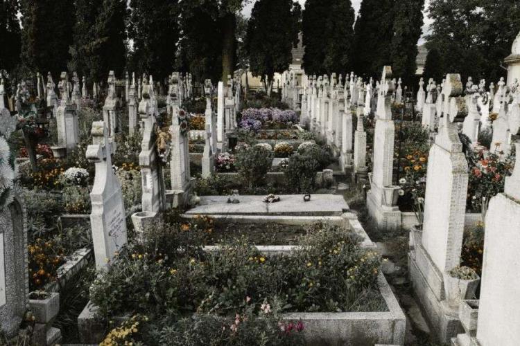 Hoții nu mai au rușine! Lumânări și flori, furate direct de pe morminte, într-un cimitir din Cluj: ,,Dispar săptămâna de săptămâna” 