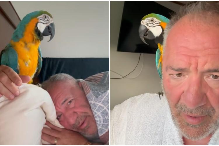 VIDEO Imagini de senzație cu Nelson Mondialu și Tukan. Papagalul a dormit în pat cu Interlopul: „M-a zăpăcit toată noaptea”