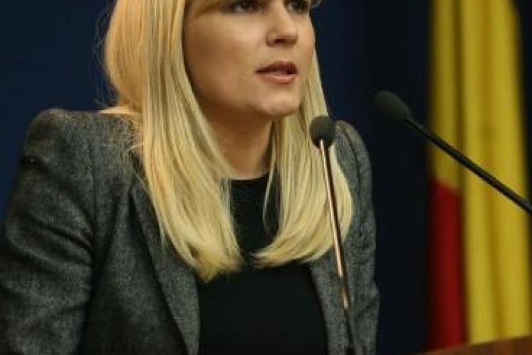 Elena Udrea cere desfiintarea Companiei Nationale de Investitii